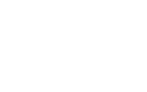 a black and gold logo